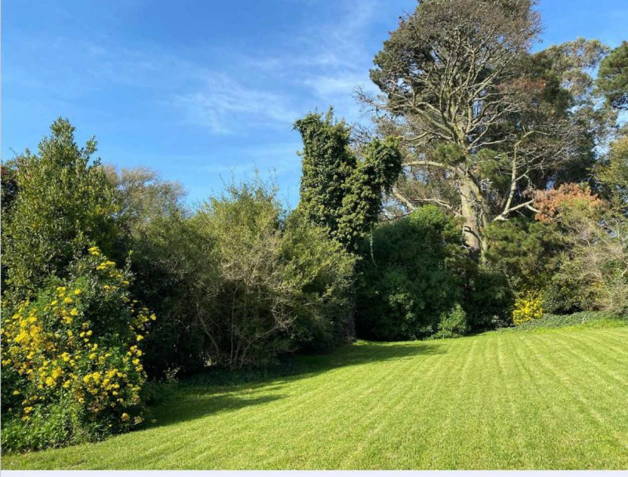 VENTA LOTE SIERRA DE LOS PADRES 