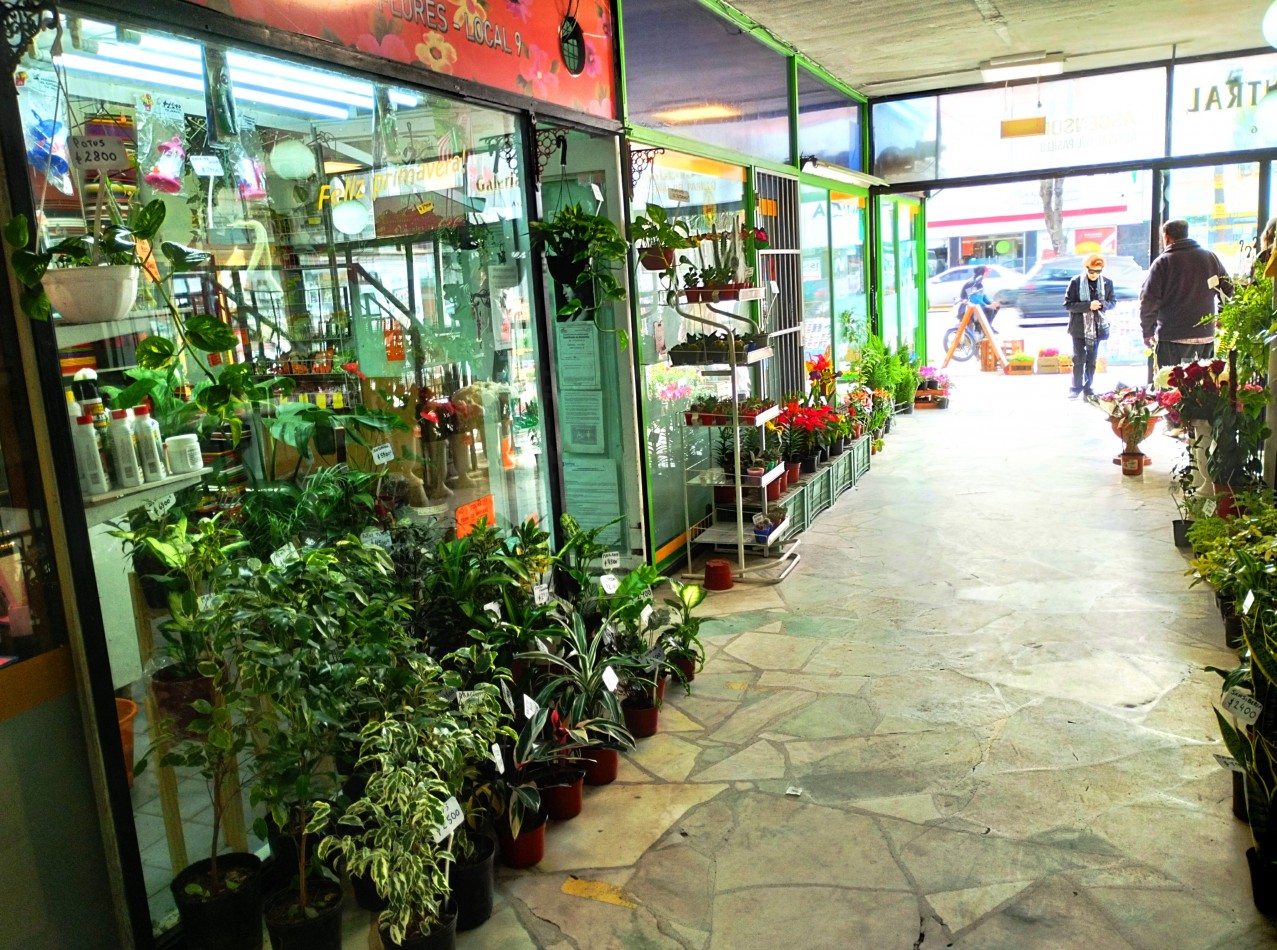 FONDO DE COMERCIO FLORERIA-PLANTAS EN PLENO MICROCENTRO