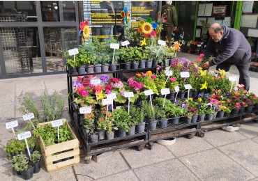 FONDO DE COMERCIO FLORERIA-PLANTAS EN PLENO MICROCENTRO